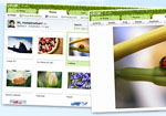 retouche d'image