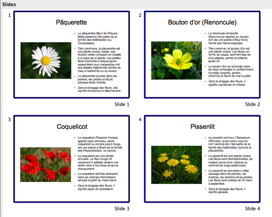 herbier