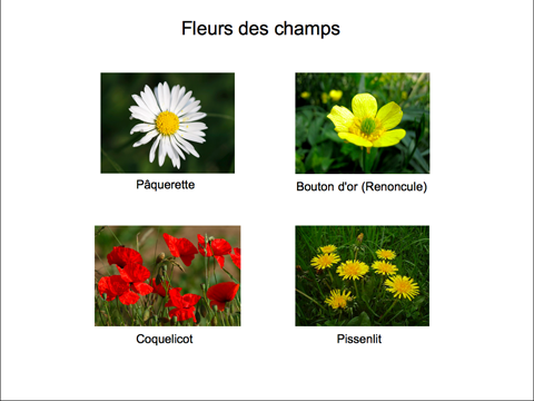herbier