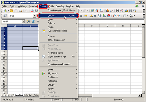 Menu Format