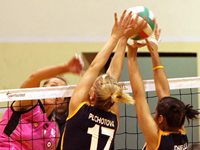 Volleyball