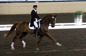dressage
