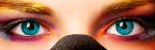 Yeux bleux