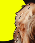 Sélection
